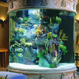 Large Aquarium